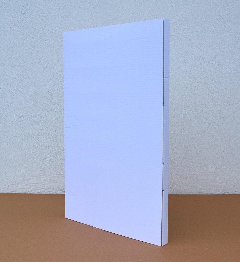 Outer packaging of product- Artisiem