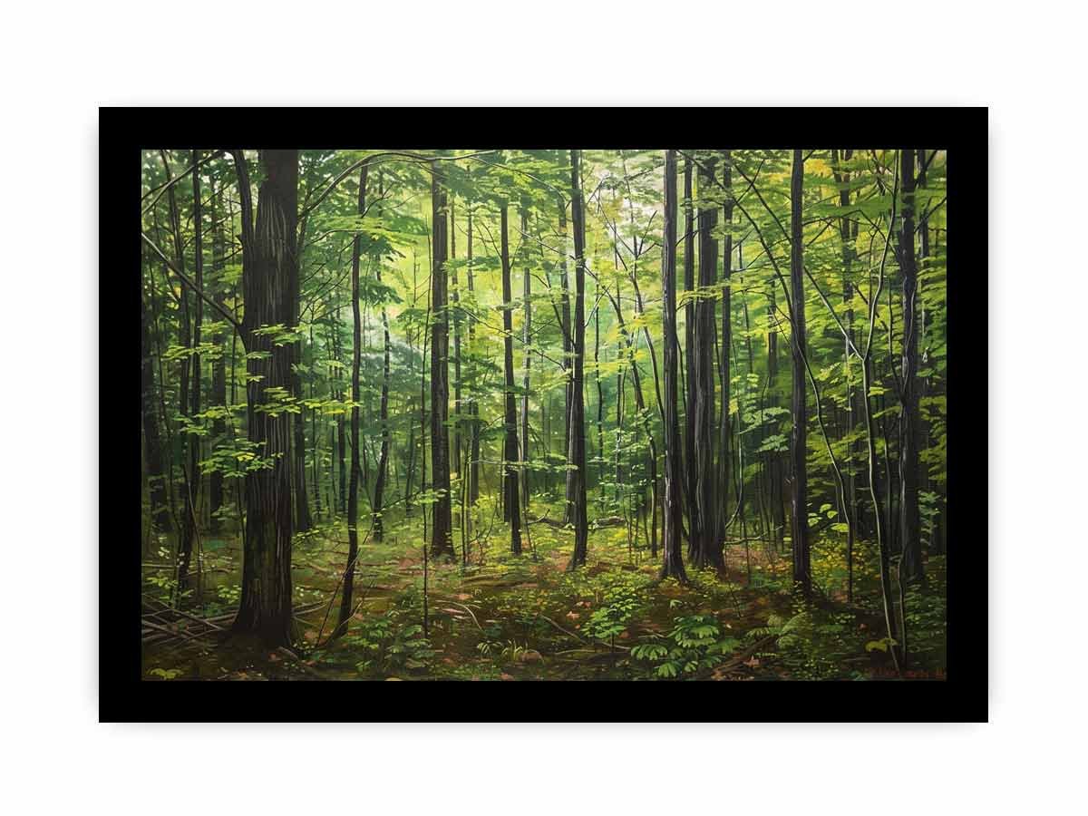 Calm Hardwood Forest Canvas Wall Art - Image 22