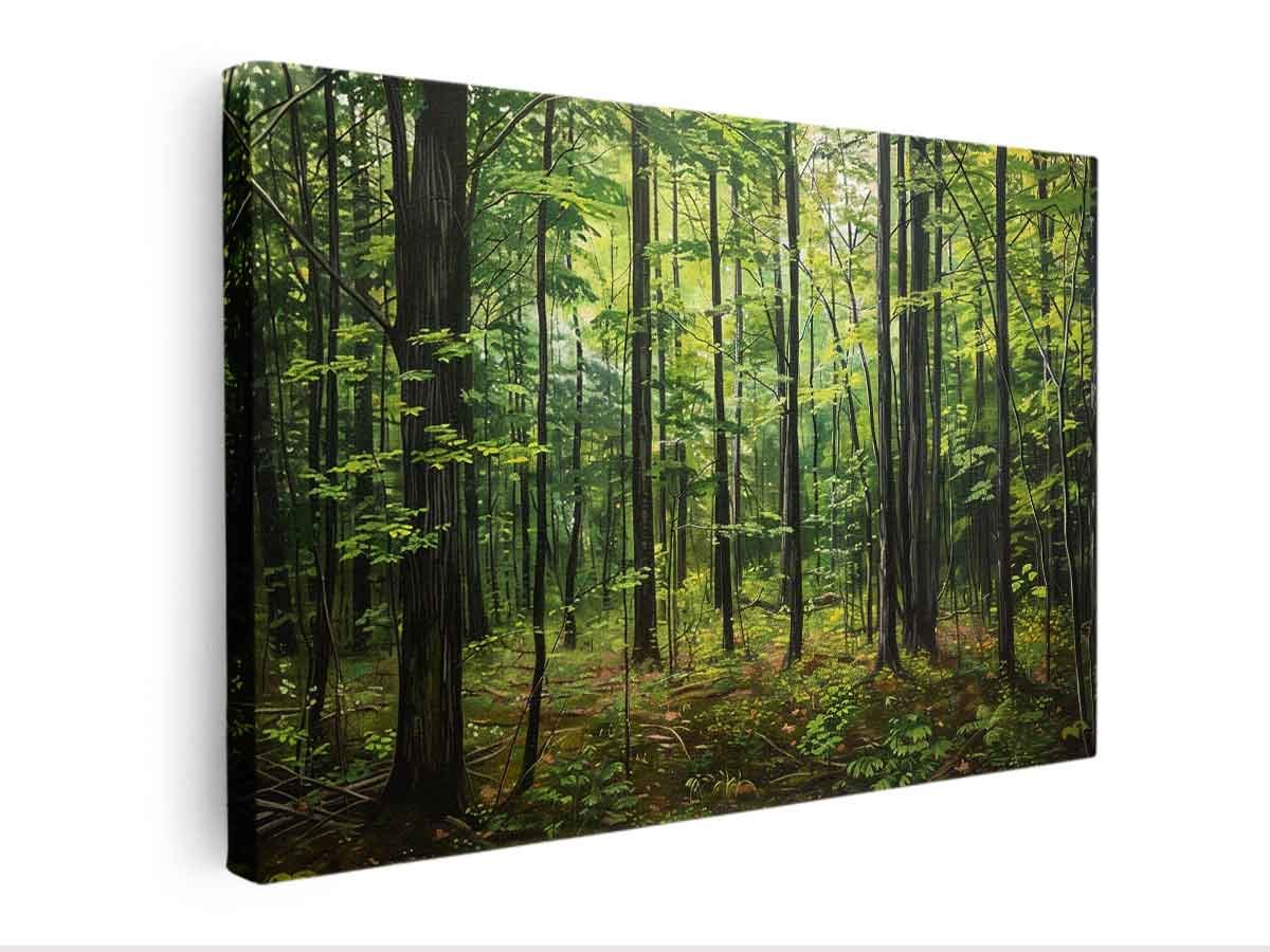 Calm Hardwood Forest Canvas Wall Art - Image 6
