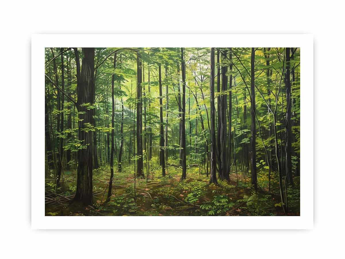 Calm Hardwood Forest Canvas Wall Art - Image 17